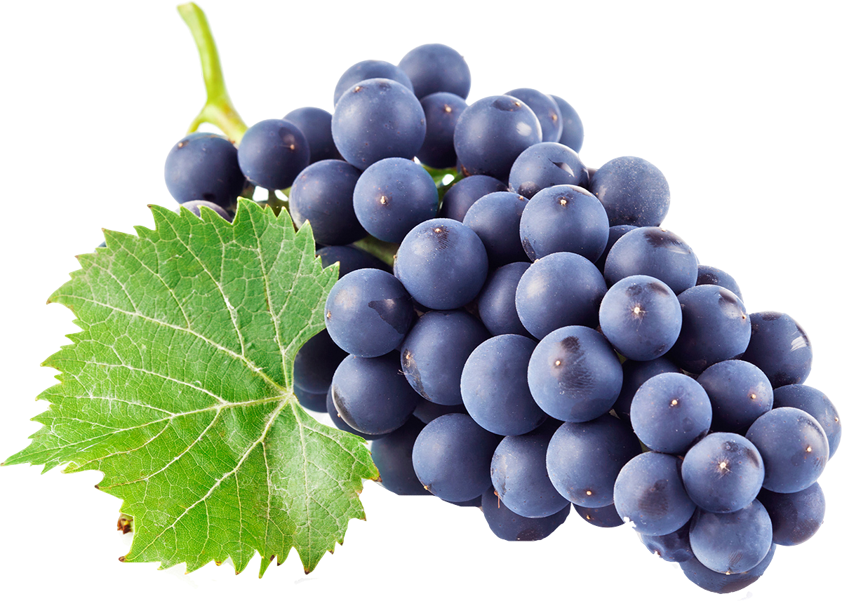An image of a grape